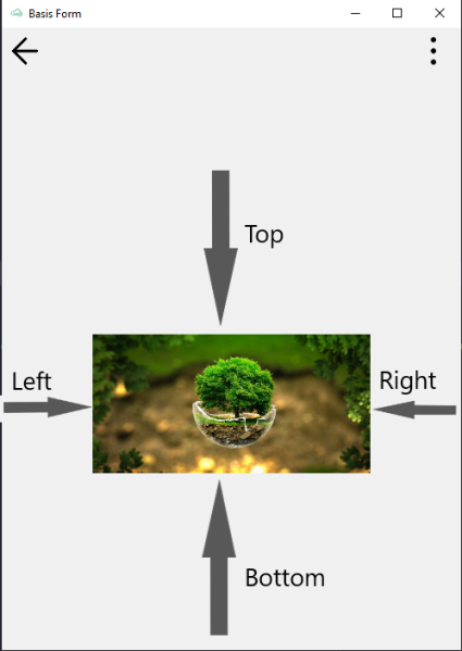 File:TclImageMargins.png